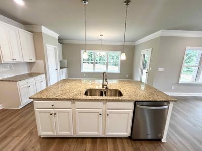 New construction Single-Family house 536 Gregs Place, Mcdonough, GA 30253 Carie- photo 9 9