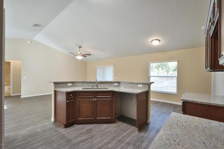 New construction Single-Family house 17247 Sw 20Th Court Road, Ocala, FL 34473 - photo 13 13