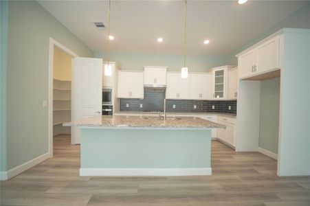 New construction Single-Family house 1214 Hidden Oaks Drive, Tomball, TX 77375 - photo 8 8