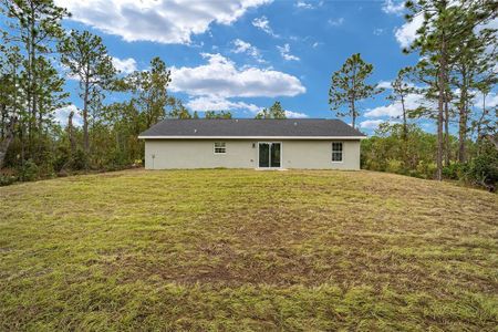 New construction Single-Family house 2974 Se 144Th Place, Summerfield, FL 34491 - photo