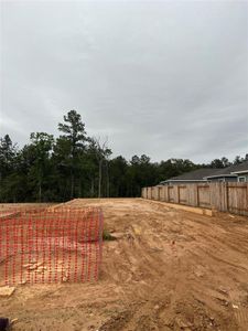 New construction Single-Family house 16850 Pandora Way, Porter, TX 77365 BRIDGEPORT- photo