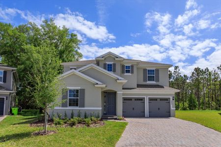 New construction Single-Family house 594 Via Bella Court, Howey-in-the-Hills, FL 34737 Biscayne- photo