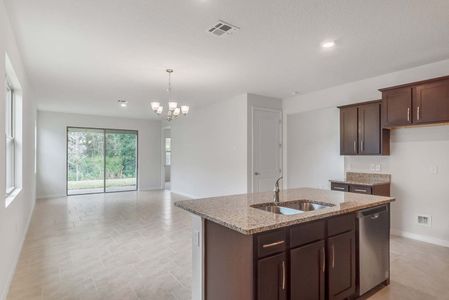 New construction Single-Family house 17270 Blazing Star Circle, Clermont, FL 34714 - photo 10 10