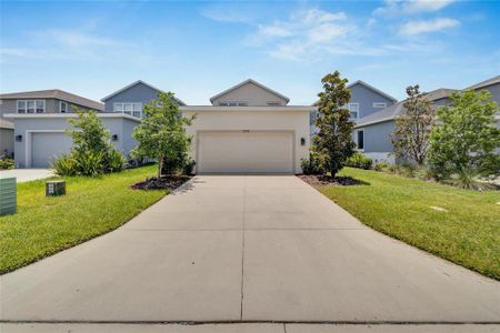 New construction Single-Family house 13791 Rangeland Boulevard, Odessa, FL 33556 - photo 6 6