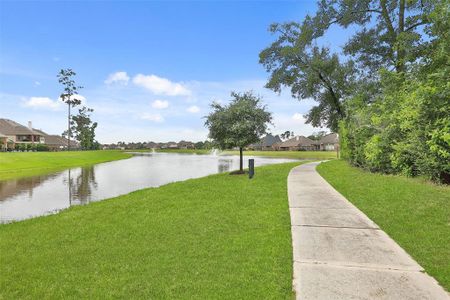 New construction Single-Family house 32014 Towering Birch Trail, Conroe, TX 77385 - photo 38 38