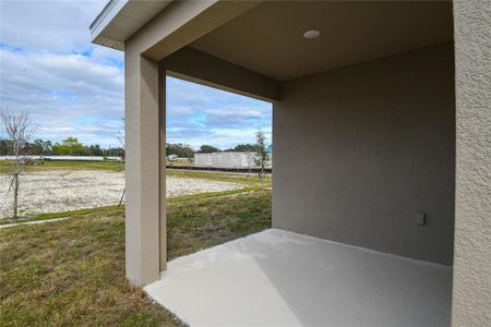 New construction Single-Family house 928 Blue Creek Drive, Haines City, FL 33844 Beech- photo 15 15