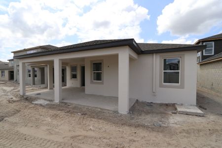 New construction Single-Family house 31843 Sapna Chime Drive, Wesley Chapel, FL 33545 Picasso- photo 70 70