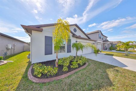 New construction Single-Family house 9316 Channing Hill Drive, Ruskin, FL 33573 - photo 2 2