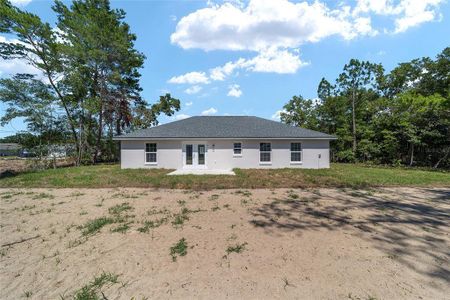 New construction Single-Family house 15072 Se 93Rd Court, Summerfield, FL 34491 - photo 33 33