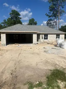 New construction Single-Family house Sw Loop, Ocala, FL 34473 - photo 0