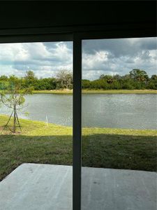 Dug Creek by Starlight Homes in Gibsonton - photo 2 2