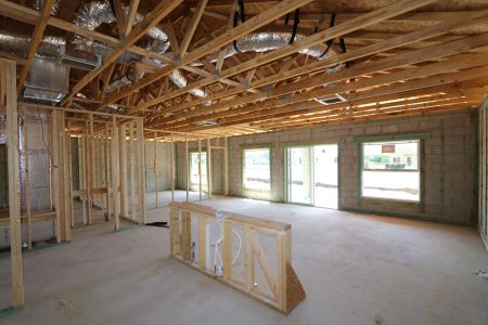 New construction Single-Family house 12165 Hilltop Farms Drive, Dade City, FL 33525 Sentinel- photo 32 32