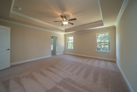 New construction Single-Family house 1633 Fire Tower Road, Sanford, NC 27330 - photo 18 18