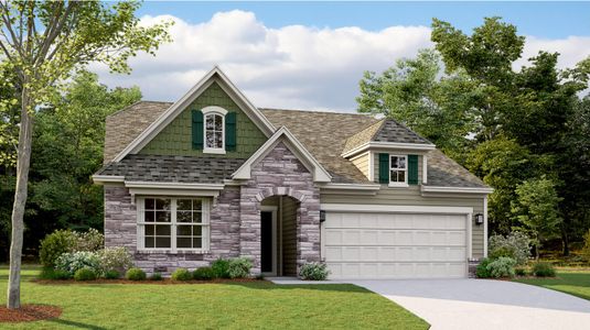New construction Single-Family house 142 Pampas Place, Statesville, NC 28625 Ashford- photo 0