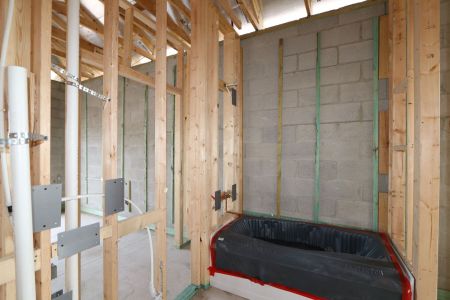 New construction Single-Family house 2941 Marine Grass Drive, Wimauma, FL 33598 Barcello- photo 19 19