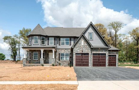 New construction Single-Family house Wilbanks Drive, Charlotte, NC 28278 - photo 223 223