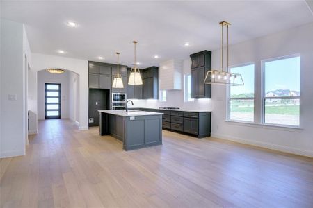 New construction Single-Family house 405 Wingtail Drive, Aledo, TX 76008 Hayward - photo