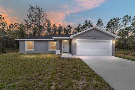 New construction Single-Family house 24254 Nw Water Oak Avenue, Dunnellon, FL 34431 - photo 1 1
