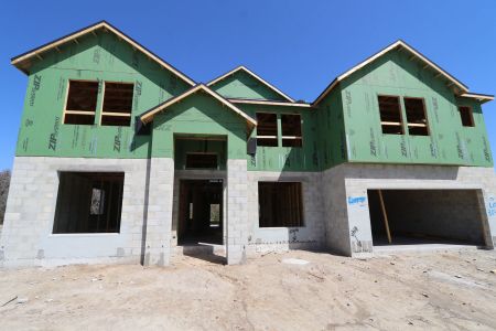 New construction Single-Family house 10614 New Morning Drive, Tampa, FL 33647 Grandsail  III- photo 18 18