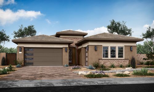 New construction Single-Family house 1344 E. Nolan Place, Chandler, AZ 85249 Elden Plan 4505- photo 0