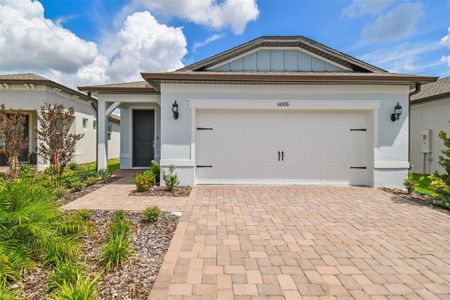 New construction Single-Family house 6005 Shorebird Branch, Land O' Lakes, FL 34638 - photo 4 4