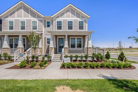 New construction Single-Family house 168 Ash Circle, Erie, CO 80516 Sycamore Villa- photo 15 15