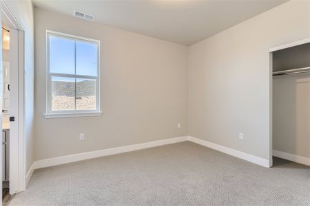 New construction Single-Family house 7338 S. White Crow Way, Aurora, CO 80016 Aster- photo 16 16