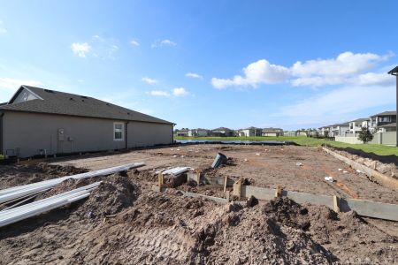 New construction Single-Family house 5082 Bromeliad Avenue, Wimauma, FL 33598 Barcello- photo