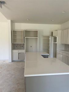 New construction Single-Family house 317 Zebrastone, Weatherford, TX 76487 Stratton- photo 5 5