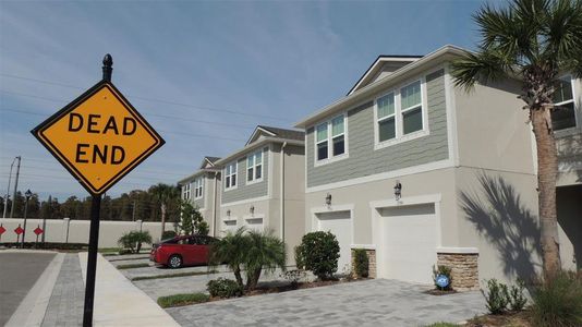 New construction Townhouse house 2578 Mindful Way, Lutz, FL 33558 - photo 49 49
