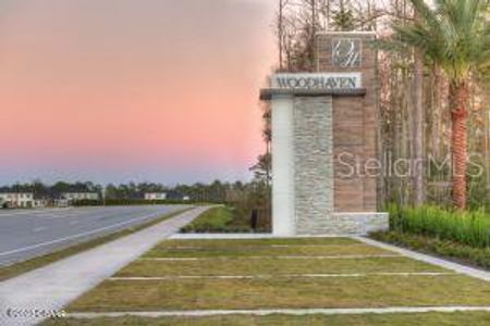 New construction Single-Family house 6300 E Fallsgrove Land, Port Orange, FL 32128 - photo 21 21