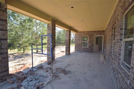 New construction Single-Family house 1875 Green Briar Drive, Huntsville, TX 77340 - photo 34 34