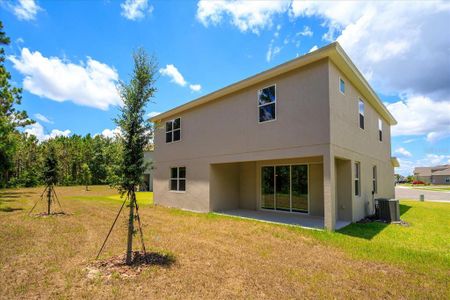 New construction Single-Family house 595 Via Bella Court, Howey-in-the-Hills, FL 34737 Biscayne- photo 22 22
