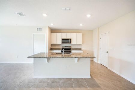 New construction Single-Family house 1364 Calmito Lane, Mount Dora, FL 32757 ARIA- photo