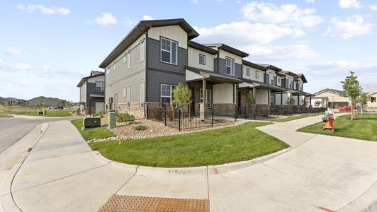 New construction Multi-Family house 950 Schlagel Street, Unit 3, Fort Collins, CO 80524 Timberline- photo 46 46