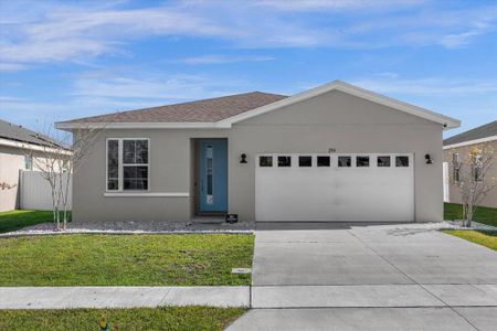 New construction Single-Family house 284 White Heron Way, Saint Cloud, FL 34772 - photo 0 0