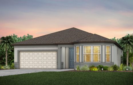 New construction Single-Family house Simmons Ranch Court, Riverview, FL 33578 - photo 1 1
