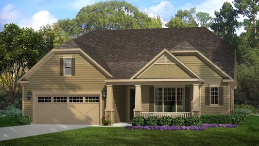New construction Single-Family house Hickory, 8913 Silver Springs Court, Charlotte, NC 28215 - photo