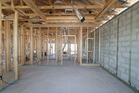 New construction Single-Family house 4778 Beachrose Way, Lakeland, FL 33811 Barcello- photo 31 31