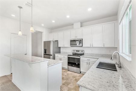 Stainless steel appliances and quartz counters
