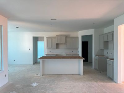 New construction Single-Family house 1232 Comal Lane, Springtown, TX 76082 Barnett- photo 20 20