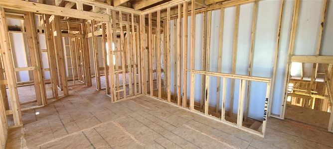New construction Single-Family house 923 Palo Brea Loop, Hutto, TX 78634 Cassidy Homeplan- photo 17 17