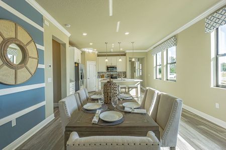 New construction Single-Family house 9392 Highland Hills Drive, Hudson, FL 34667 - photo 8 8