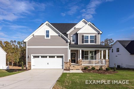 New construction Single-Family house 228 Golden Leaf Farm Road, Angier, NC 27501 - photo 0