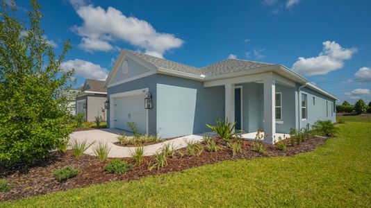 New construction Single-Family house 14551 Skipping Stone Loop, Parrish, FL 34219 Dream 2- photo 2 2