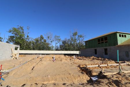 New construction Single-Family house 12078 Hilltop Farms Drive, Dade City, FL 33525 Mira Lago- photo 8 8