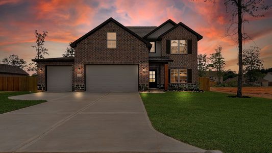 Lexington Heights 50' by Alta Homes in Willis - photo 4 4
