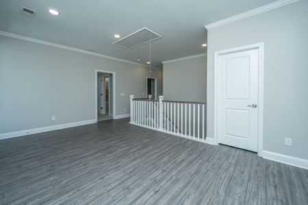 New construction Single-Family house 4039 Blind Flight Street, Charleston, SC 29492 - photo 45 45