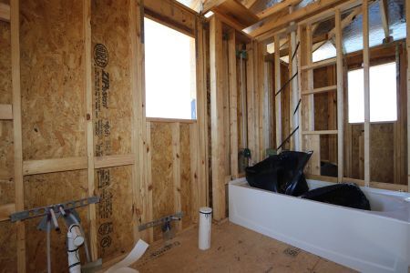 New construction Single-Family house 31835 Sapna Chime Drive, Wesley Chapel, FL 33545 Salinas- photo 17 17