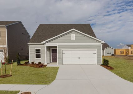New construction Single-Family house 1014 Hollies Pines Rd, Broadway, NC 27505 - photo 20 20